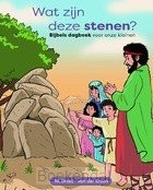 WAT ZIJN DEZE STENEN?