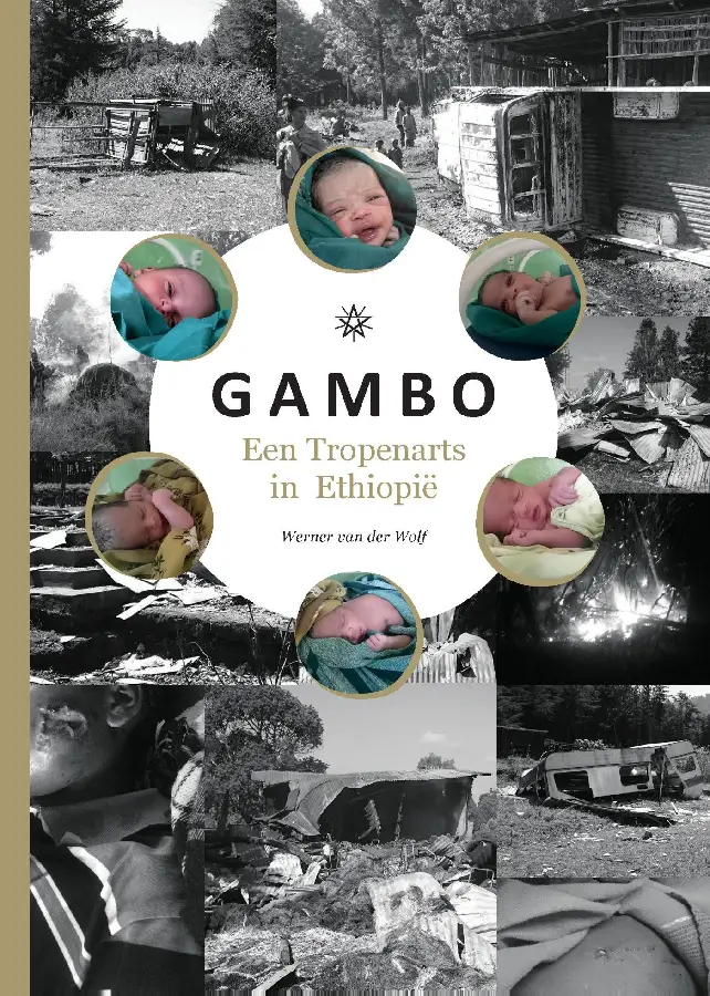 Gambo