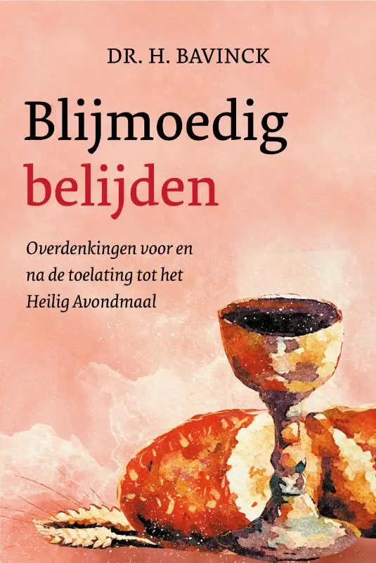 BLIJMOEDIG BELIJDEN