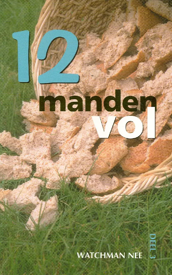 TWAALF MANDEN VOL 3