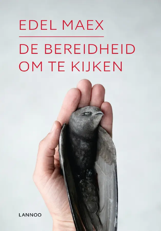 De bereidheid om te kijken