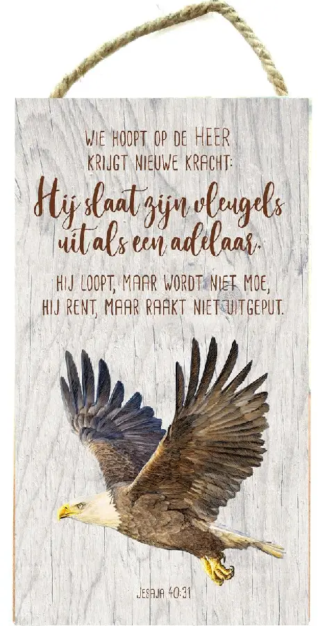 WIE HOOPT OP DE HEER-ADELAAR JES 40:31