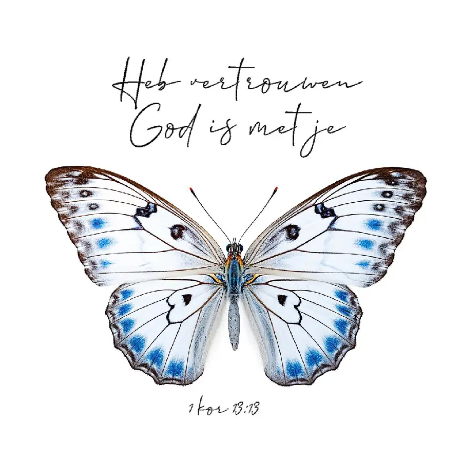 HEB VERTROUWEN, GOD IS MET JE