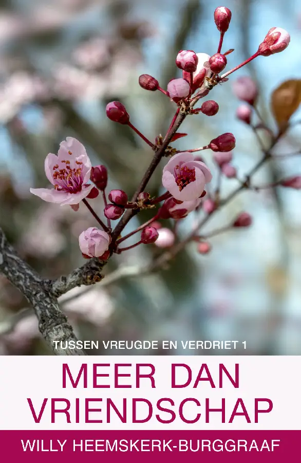 Meer dan vriendschap