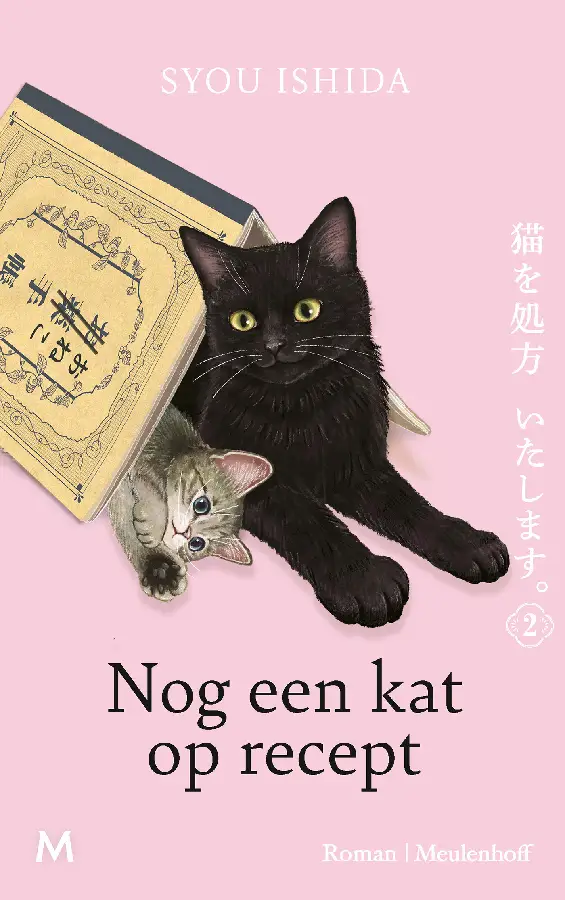Nog een kat op recept