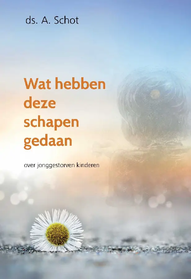 WAT HEBBEN DEZE SCHAPEN GEDAAN