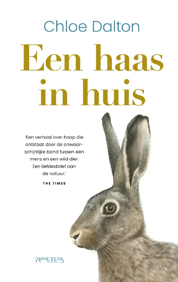 Een haas in huis
