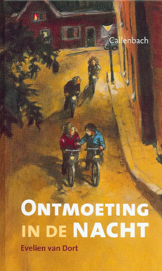 ONTMOETING IN DE NACHT