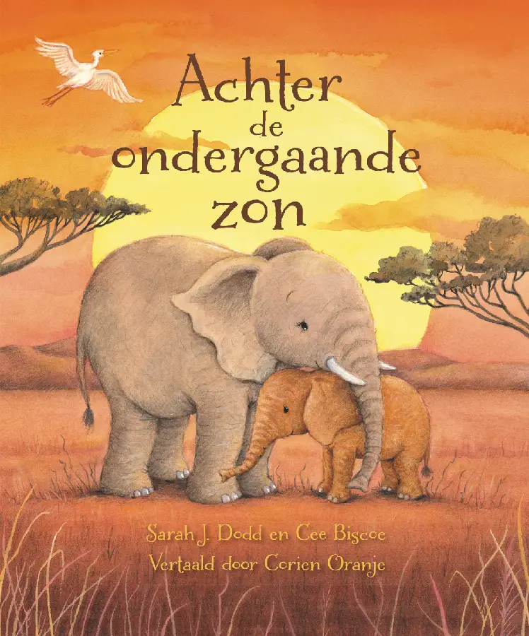 ACHTER DE ONDERGAANDE ZON
