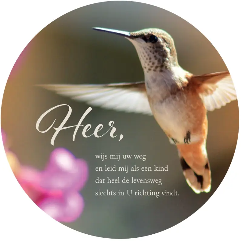 HEER WIJS MIJ IW WEG