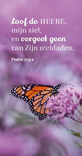 LOOF DE HEERE MIJN ZIEL