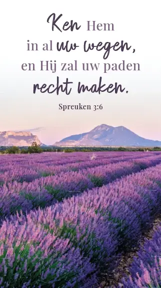 KEN HEM IN AL UW WEGEN