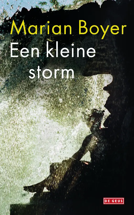 Een kleine storm