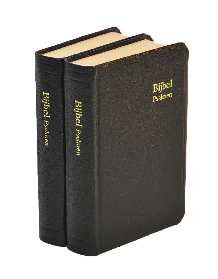 Herenzakbijbel H31 RITMISCH kunstleer