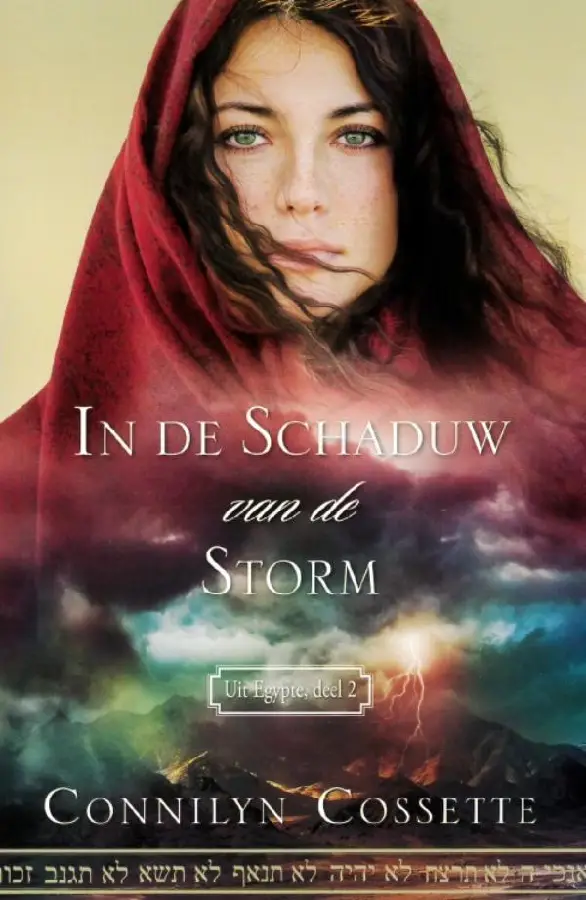 IN DE SCHADUW VAN DE STORM