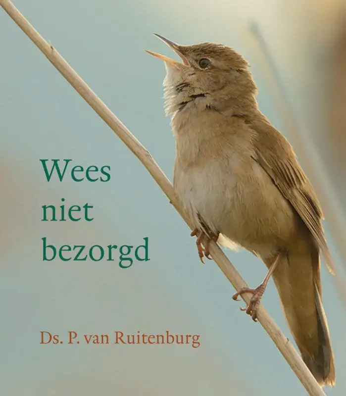 WEES NIET BEZORGD