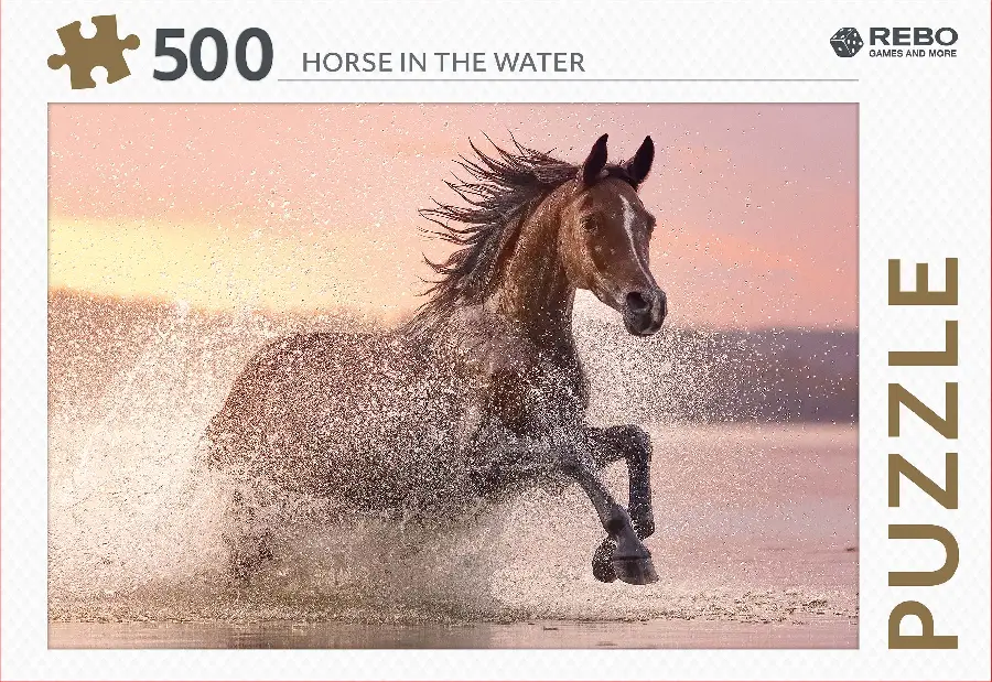 PAARD IN HET WATER