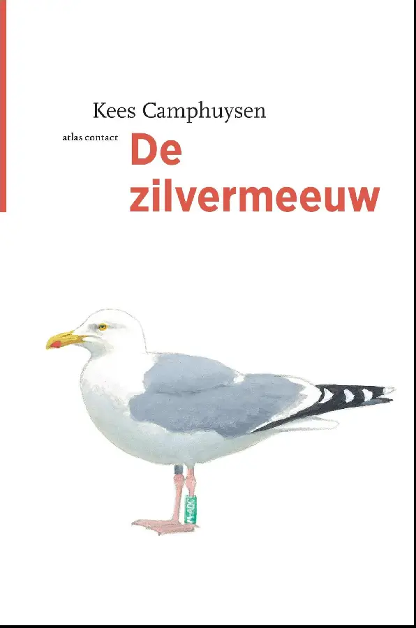 De zilvermeeuw