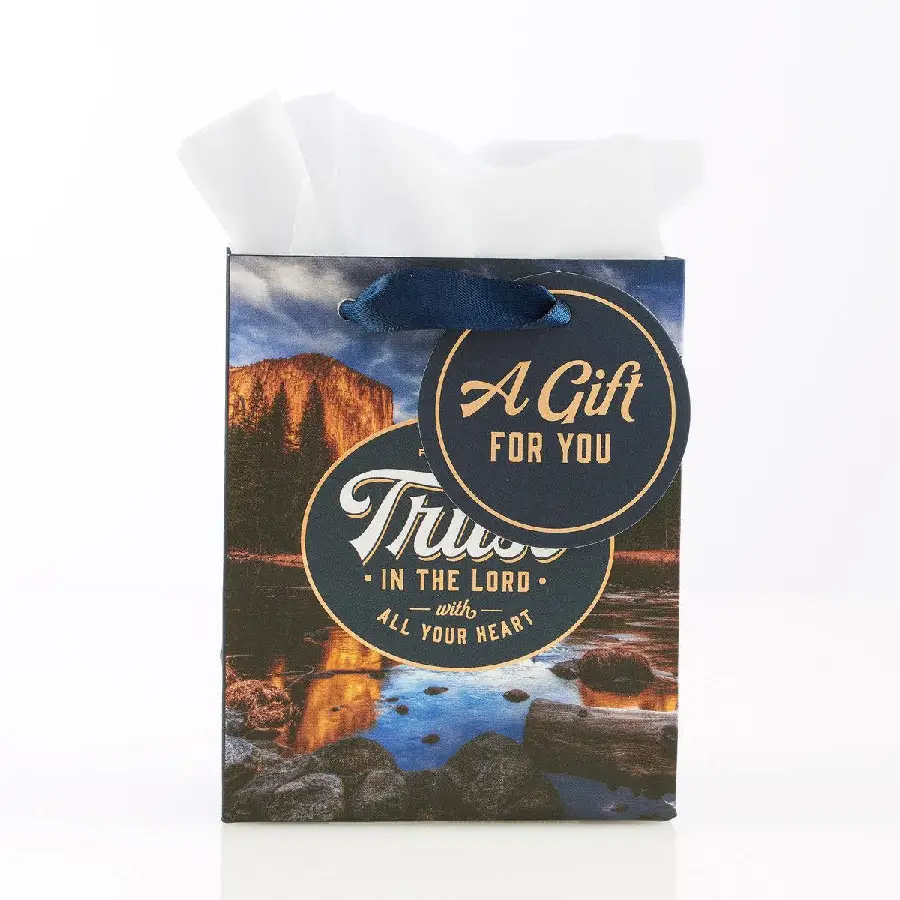 TRUST IN THE LORD - 86 X 51 X 105 MM