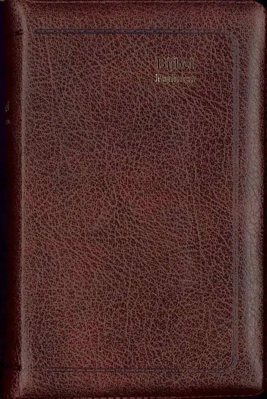 BIJBEL STV MIC 612812+PSALMEN 12GEZ BR L