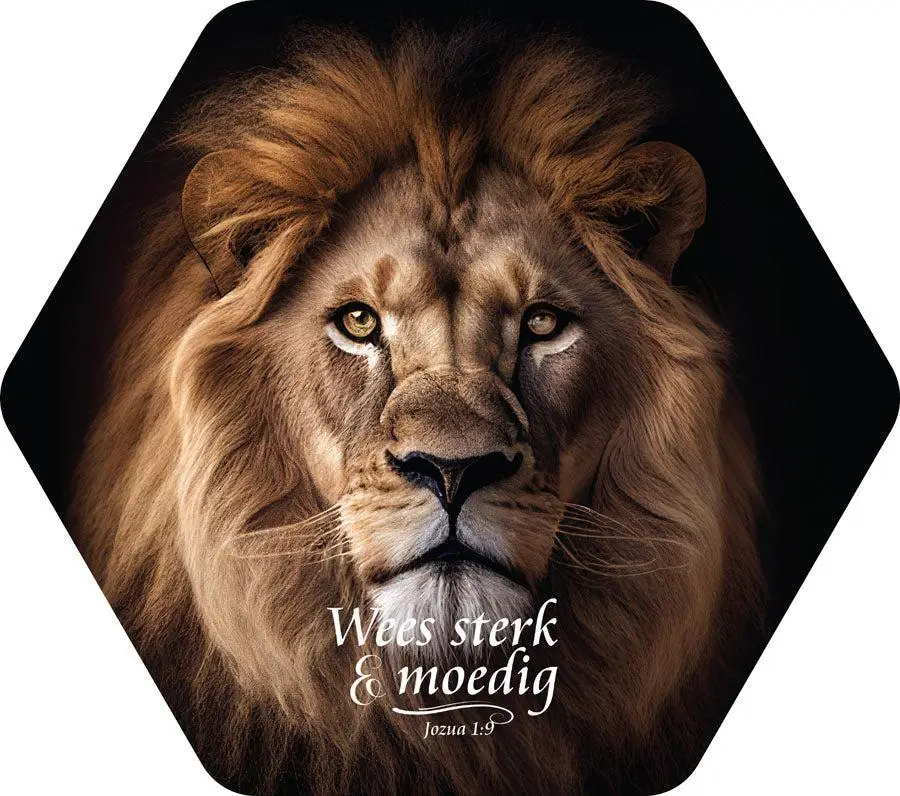 STERK EN MOEDIG LEEUW