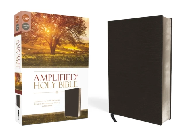 Amplified Bible
