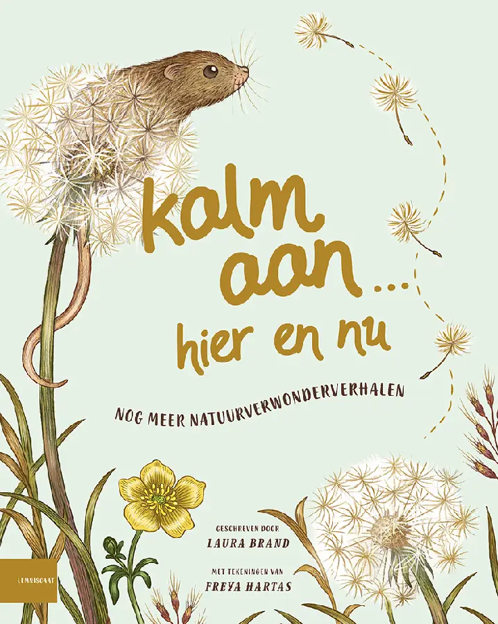 Kalm aan... Hier en nu