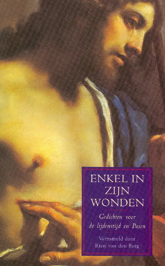 ENKEL IN ZYN WONDEN